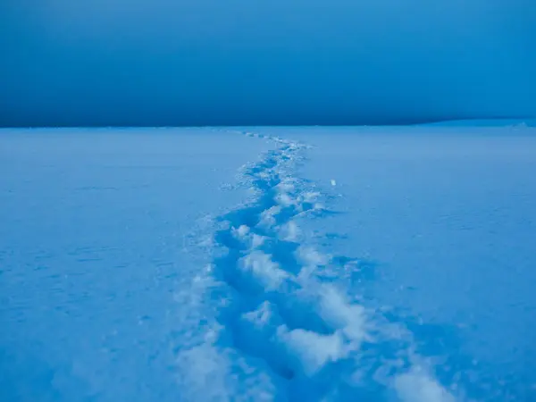 Footsprint na śniegu — Zdjęcie stockowe