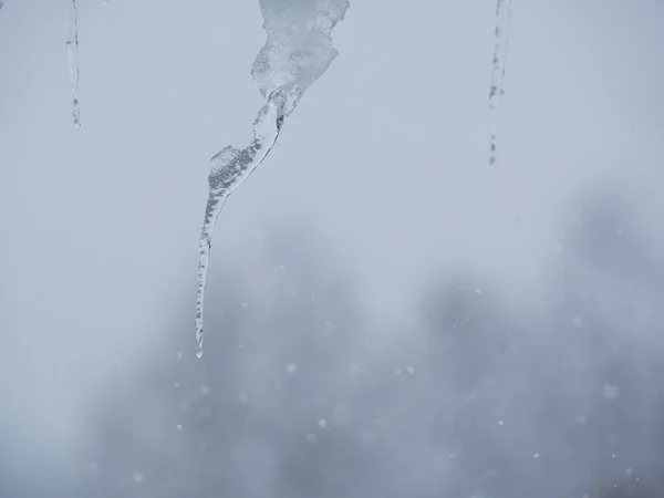 Ciclo no dia frio — Fotografia de Stock