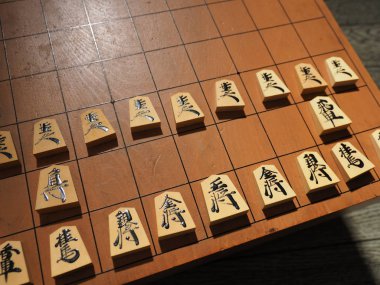 Japon satranç oyunu