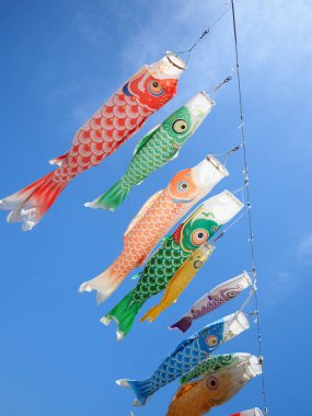 sazan flama Japonya'da