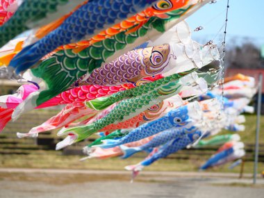 sazan flama Japonya'da