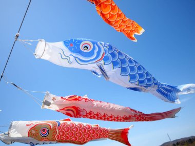 sazan flama Japonya'da