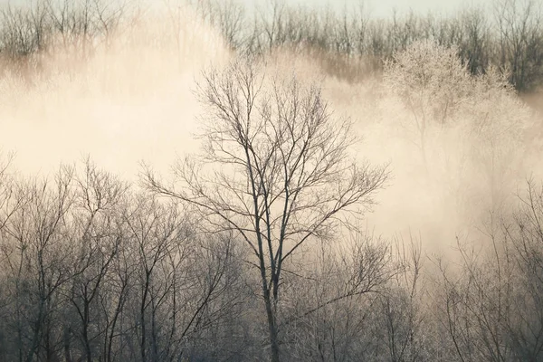 Hokkaido'da kış manzarası — Stok fotoğraf