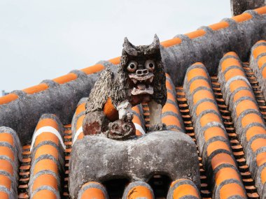 okinawa Japonya shiesser