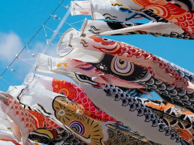 sazan flama Japonya'da