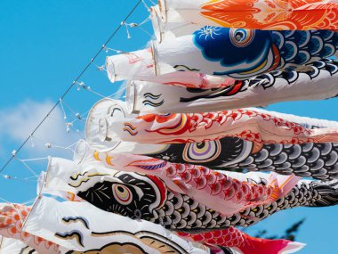 sazan flama Japonya'da