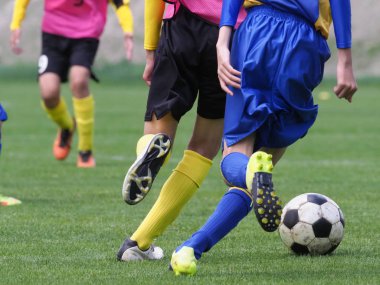 Japonya 'da futbol maçı