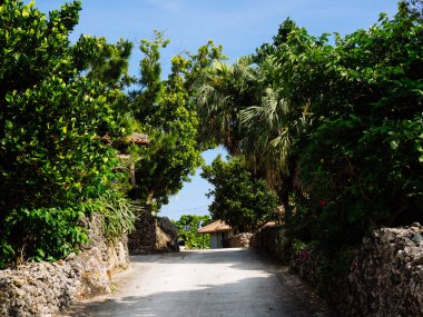 sokak taketomi Adası