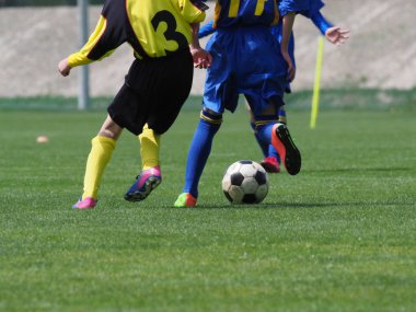 Japonya 'da futbol maçı