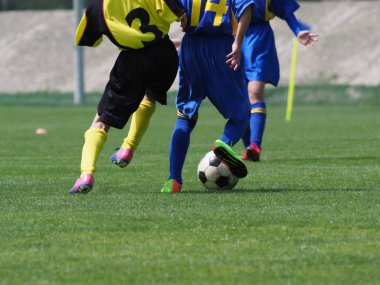 Japonya 'da futbol maçı