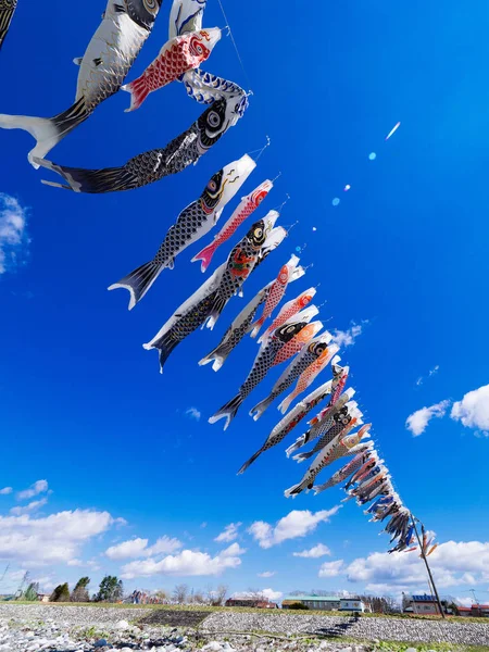 日本の鯉のぼり — ストック写真