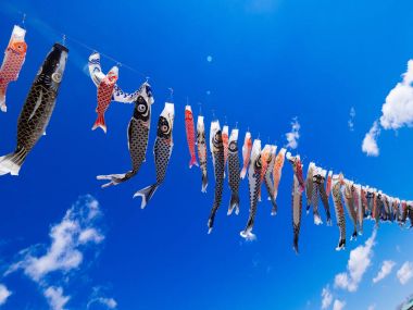 sazan flama Japonya'da