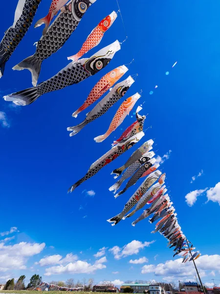 Karp streamer i japan — Stockfoto