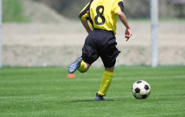 Japonya 'da futbol maçı