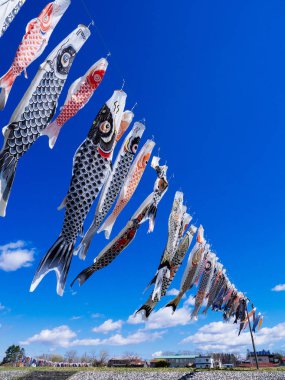 sazan streamaer Japonya'da