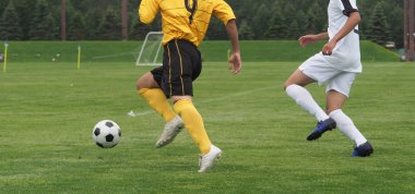 Japonya 'da futbol maçı