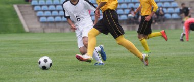 Japonya 'da futbol maçı