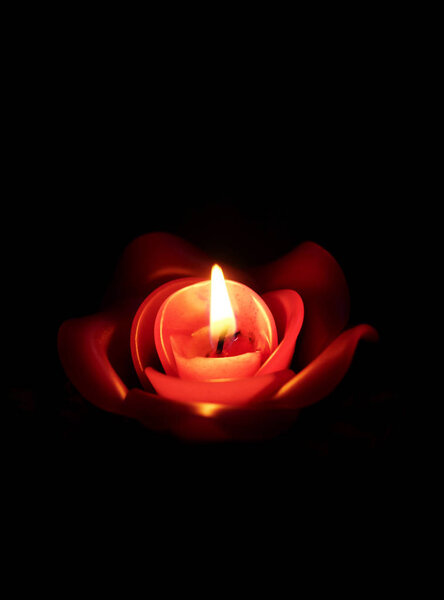 rose candle in black background
