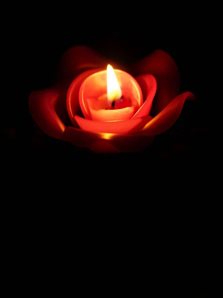 Троянда свічка на чорному фоні — стокове фото