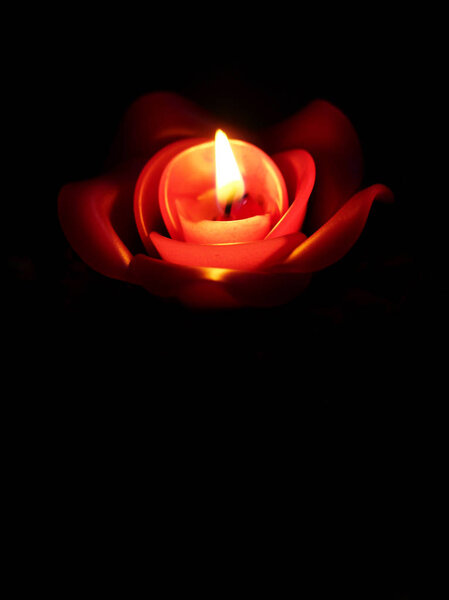 rose candle in black background
