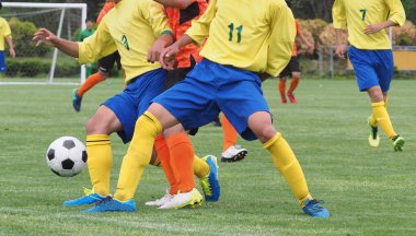 Japonya 'da futbol maçı