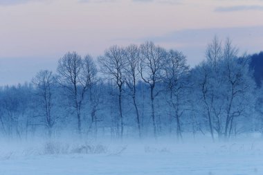 Hokkaido'da kış manzarası