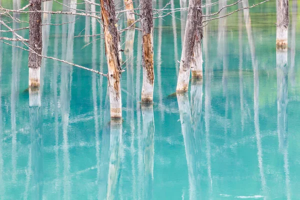 Lagoa azul em hokkaido — Fotografia de Stock