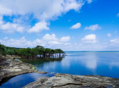 güzel sahil Iriomote Adası