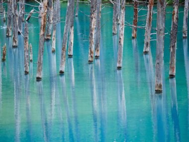 Hokkaido'da mavi su birikintisi