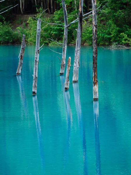 Lagoa azul em hokkaido — Fotografia de Stock