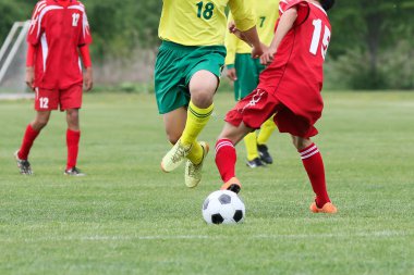 Japonya 'da futbol maçı