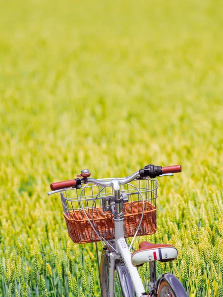 Weizenfeld und Fahrrad — Stockfoto
