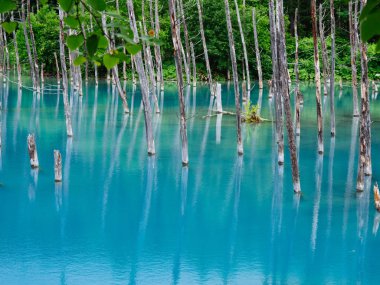 Hokkaido'da mavi su birikintisi