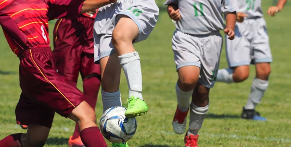 Japonya 'da futbol maçı