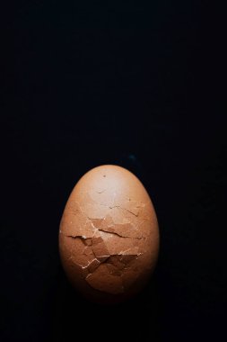 siyah arka planda bir yumurta