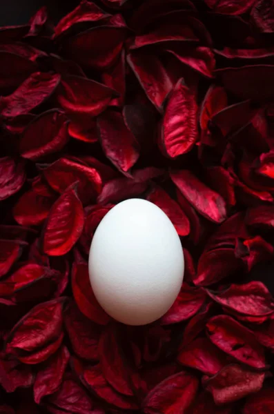 Un uovo in petalo rosso — Foto Stock