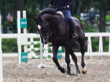 Binicilik hokkaido Japonya'da