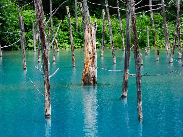 Estanque Azul Hokkaido — Foto de Stock