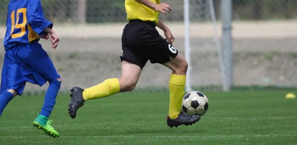 Fútbol Japón —  Fotos de Stock