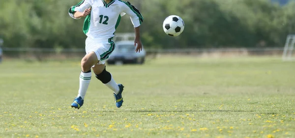 Fútbol Japón — Foto de Stock