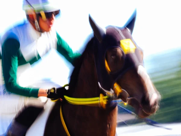 Corsa Cavalli Giappone — Foto Stock