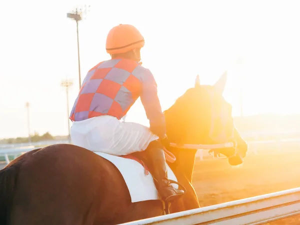 Carrera Caballos Japón —  Fotos de Stock