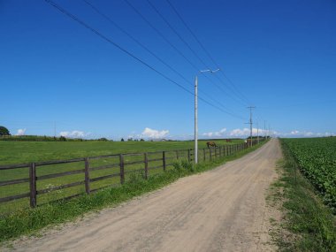 Yaz hokkaido manzara