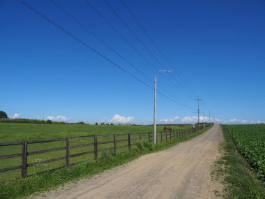 Yaz hokkaido manzara