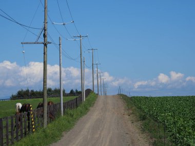 Yaz hokkaido manzara