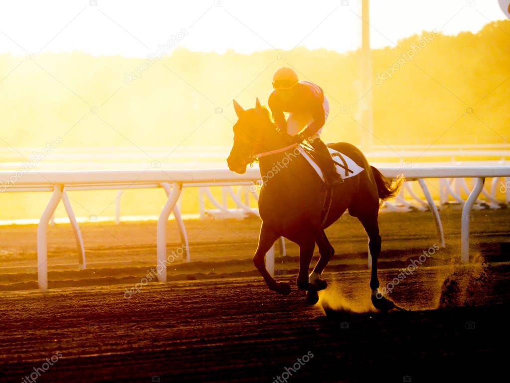 horserace in evening hokkaido