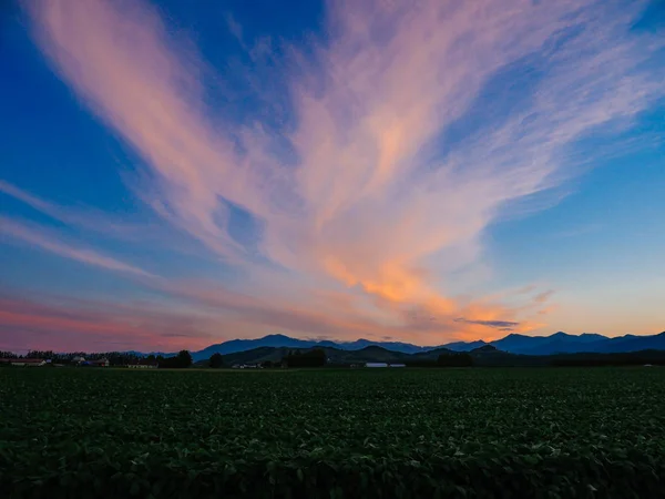 Tramonto Estate Hokkaido — Foto Stock