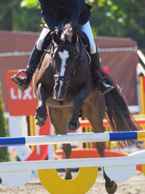 Binicilik yaz Japonya