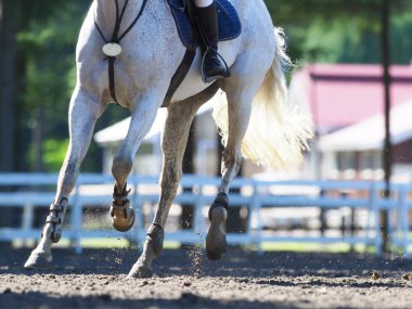 Binicilik yaz Japonya