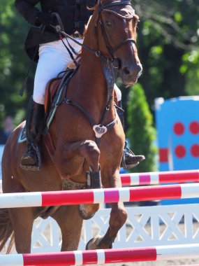 Binicilik yaz Japonya